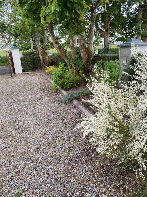 Breathnach Cottage Annex Knockleagha Ballina F26 D7E2 Zewnętrze zdjęcie
