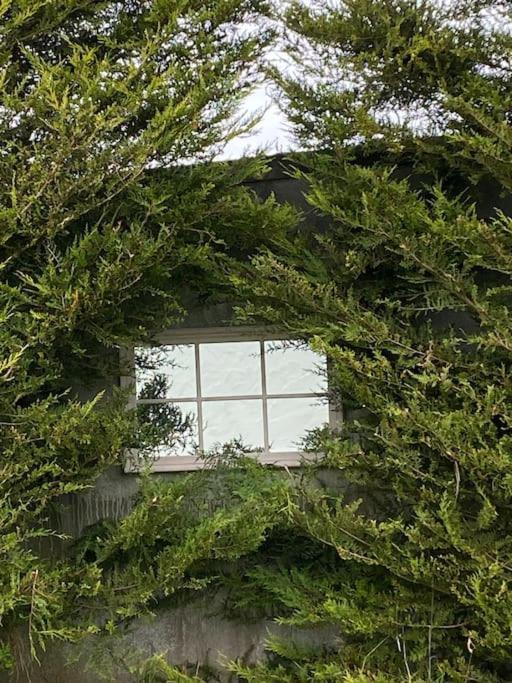 Breathnach Cottage Annex Knockleagha Ballina F26 D7E2 Zewnętrze zdjęcie